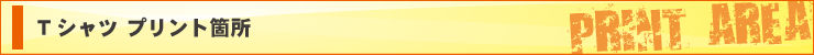 Tシャツ プリントエリア
